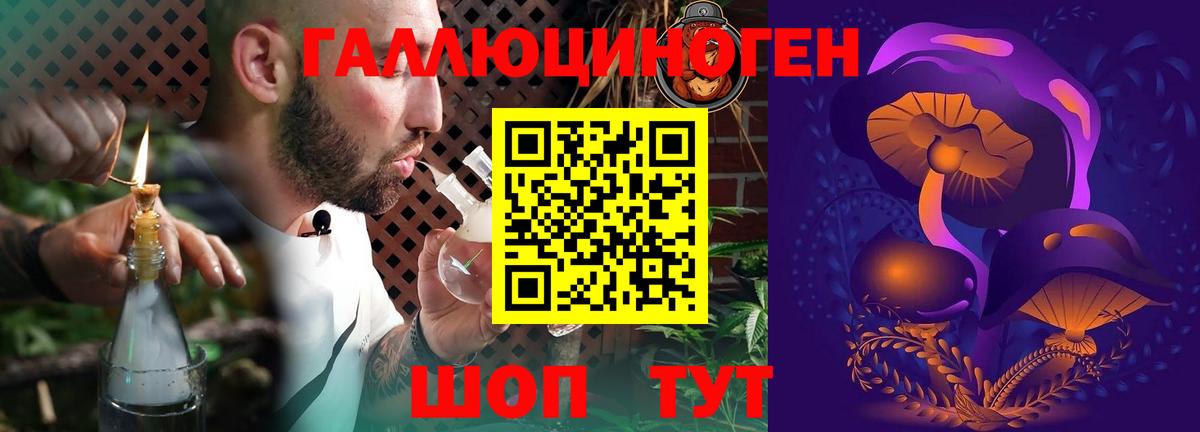Псилоцибиновые грибы Psilocybine cubensis  как найти наркотики  Волгодонск  Вход с VPN  Псилоцибиновые грибы мицелий 